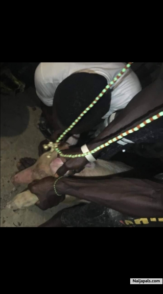https://www.instagram.com/p/CIum2GbJtrW/?igshid=74xdhrworovb Welcome to the Supreme BABA APENA OLA of wealth and protection, the place where you can come and end poverty completely from your life. 09055864642 08179733959 Remember this great temple does not involve human sacrifice or any human killing of any kind. poverty has become something that has eaten men so deeply, be wise make yourself proud and your family, it is time for you to be happy, and only you can ma - click for next photo