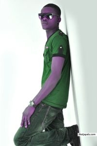  - click for next photo