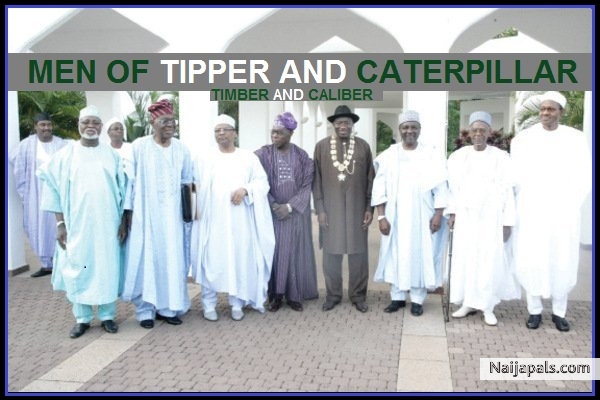 TIPPER AND CATERPILLAR - click for next photo