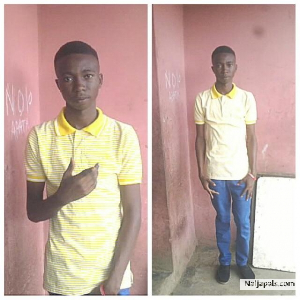  - click for next photo