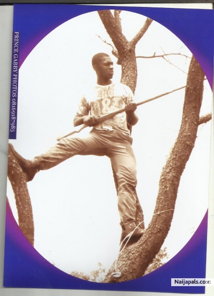 army man at war - click for next photo