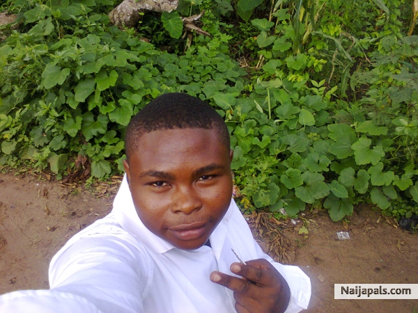 What Me - click for next photo