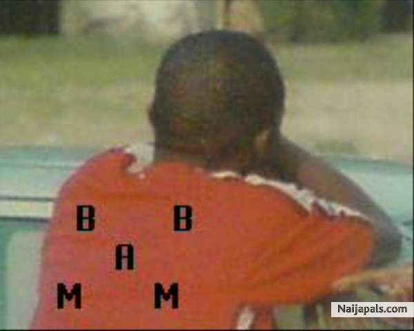  - click for next photo