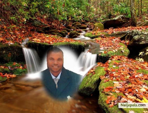 TAKE A LOOK - click for next photo
