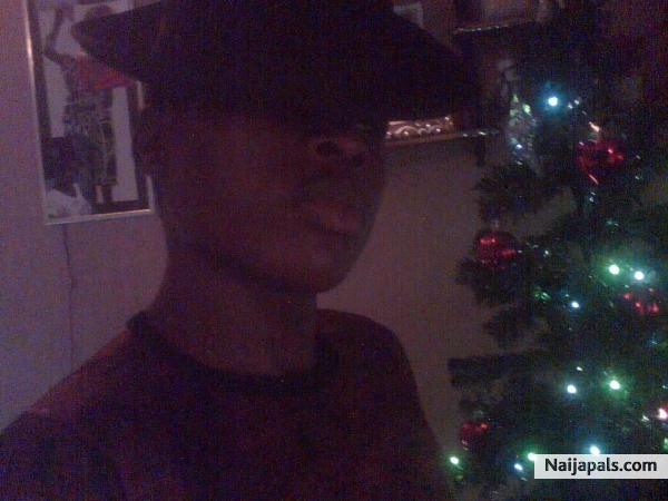 xmas fever - click for next photo