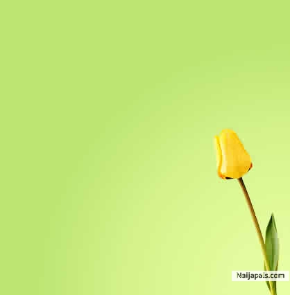 I am cajethan - click for next photo