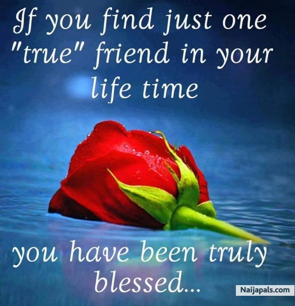 what a man can be, to an extent, can be determined by the type of friends he keeps. - click for next photo