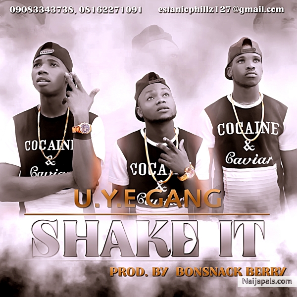 shake it
