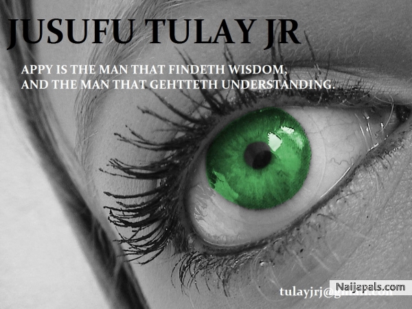 Happy is the man who finds wisdom, and the man who gains understanding. - click for next photo