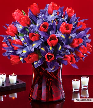 Roses are red. - click for next photo