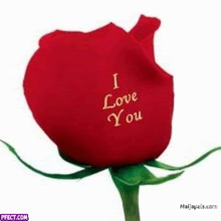 love - click for next photo