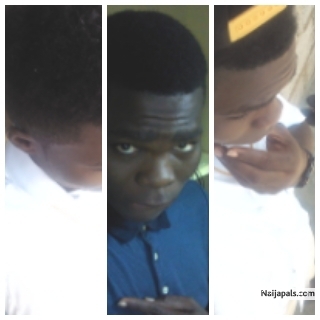  - click for next photo