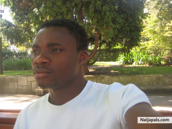 nice - click for next photo