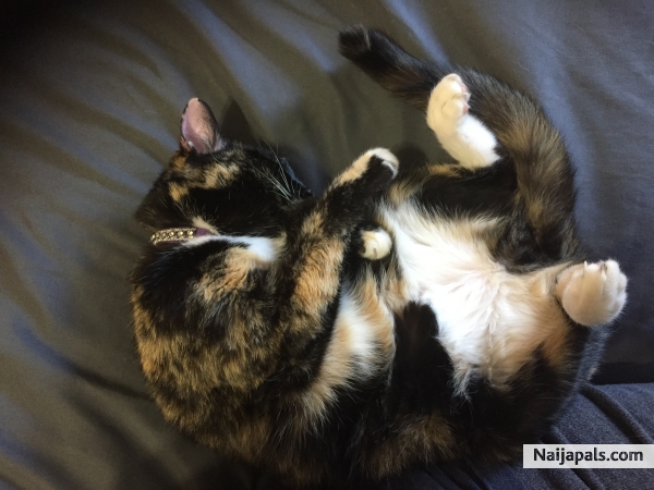 My baby is so relaxed, I love her - click for next photo