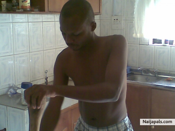 food master - click for next photo