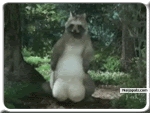 hahahaha - click for next photo