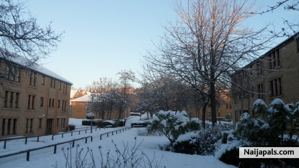 All snowed up - click for next photo
