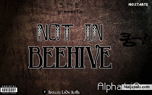 Not In Beehive