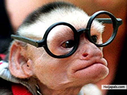 do u look like this - click for next photo
