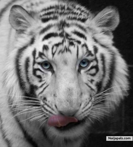 My Fave - click for next photo