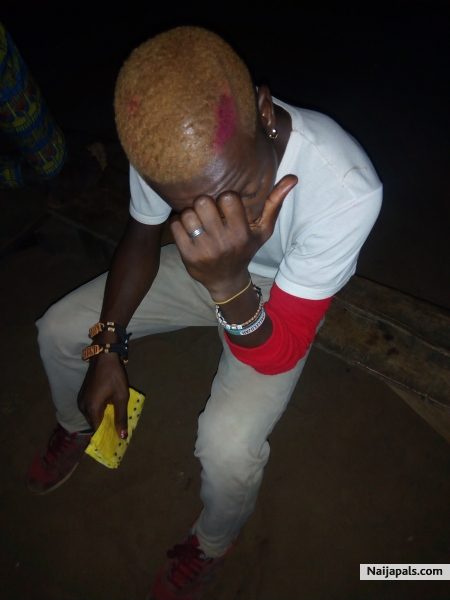 SagacityBoy - click for next photo