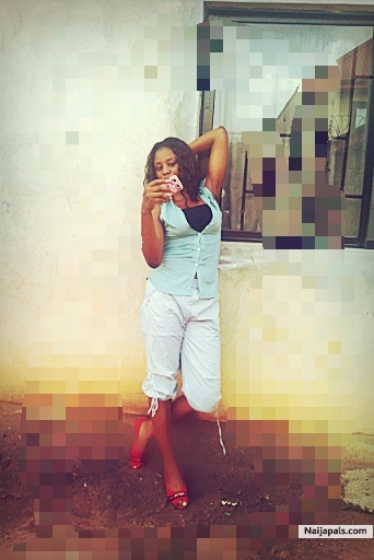  - click for next photo
