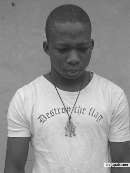 - click for next photo