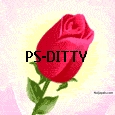 Ditty rose - click for next photo