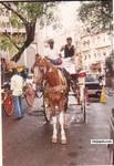 THAT IS ME MO IN INDIA - click for next photo