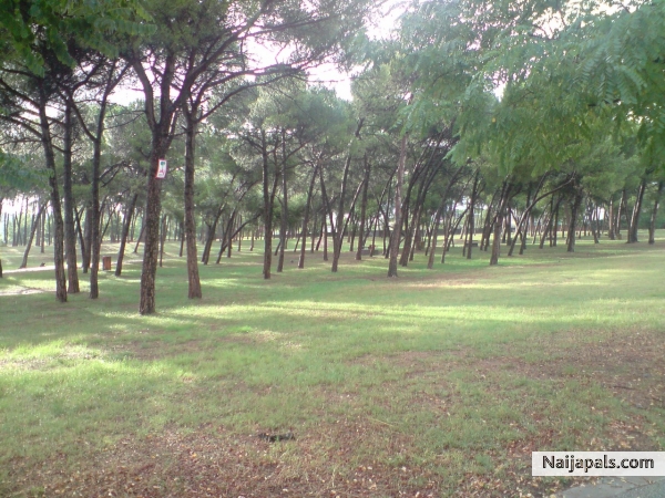 park - click for next photo