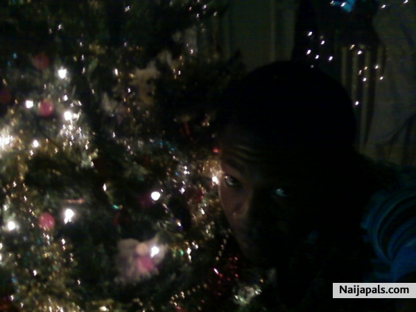 24th Night..with my Xmas Tree - click for next photo