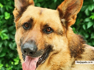 Dat is my bobby - click for next photo