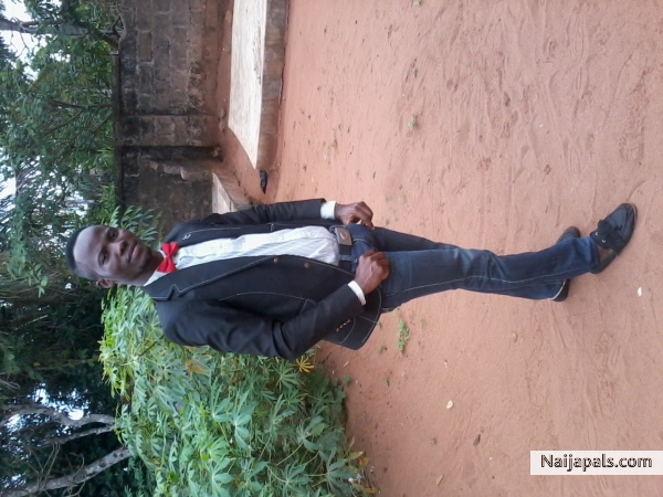 photo - click for next photo