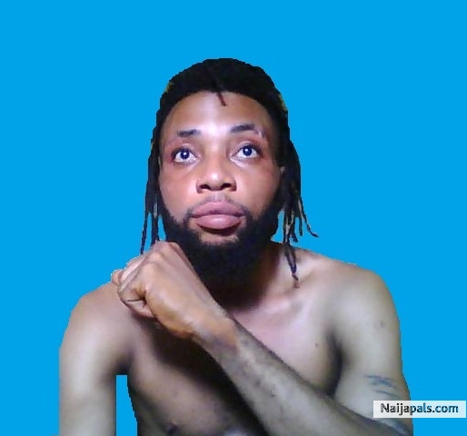 Kingblaize iQ - click for next photo