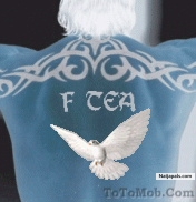  - click for next photo