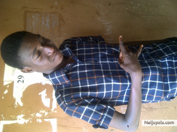  - click for next photo