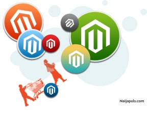 Professional Magento Developer Company - click for next photo