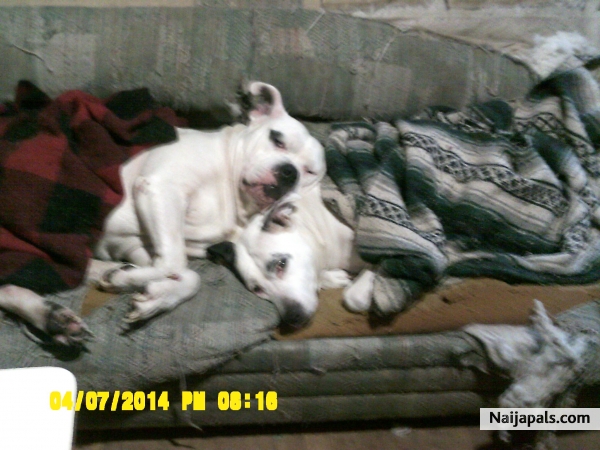  - click for next photo