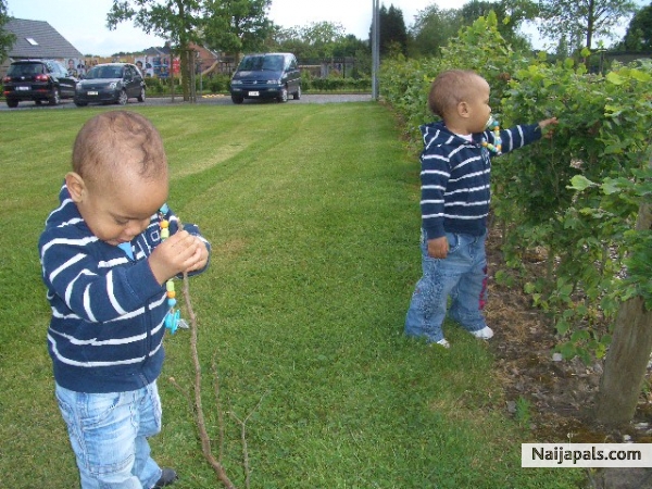  - click for next photo