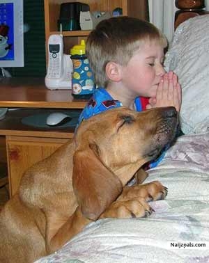 you must pray - click for next photo