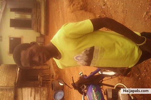  - click for next photo