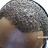 hw - click for next photo