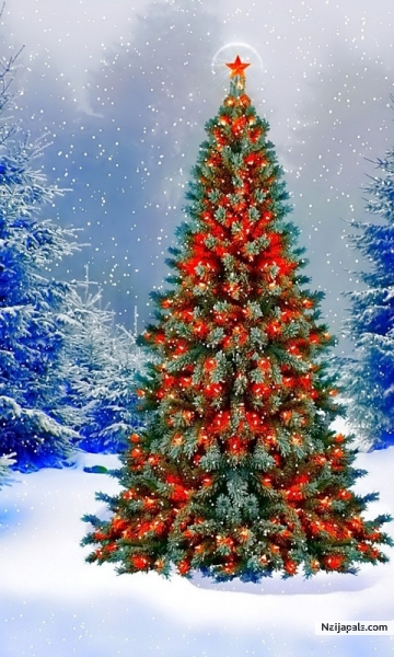 Merry Christmas - click for next photo