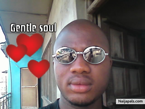 gentle and nice - click for next photo