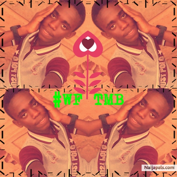 Nt 2 Bad - click for next photo