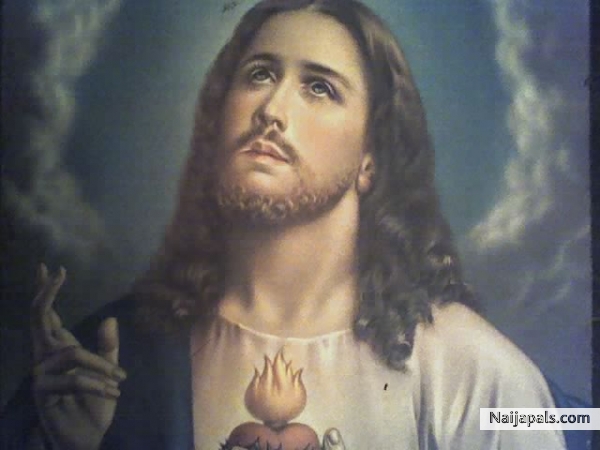 MY LORD - click for next photo