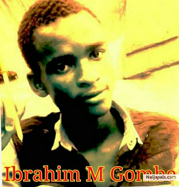 Ibrahim M Gombe popular logo 015 - click for next photo