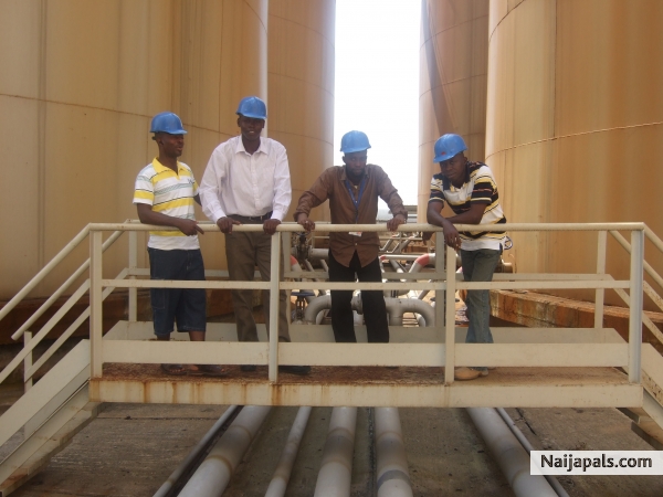kool guys serious with dier work . - click for next photo