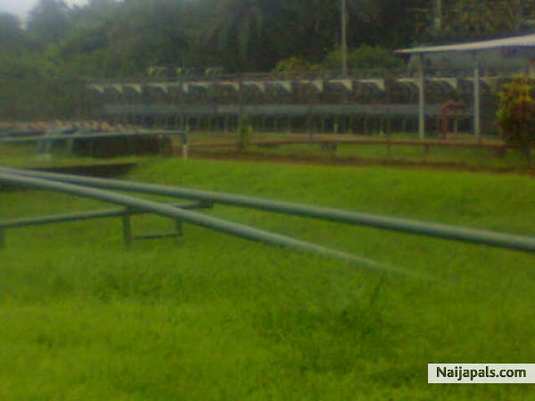 This is way 2 grateness - click for next photo