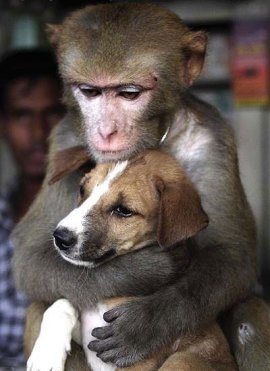 na so love dey - click for next photo